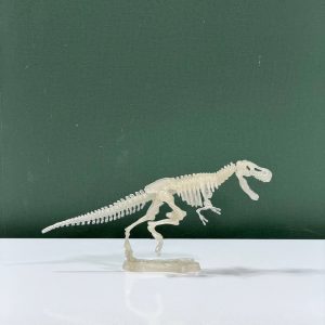 دایناسور شب نما